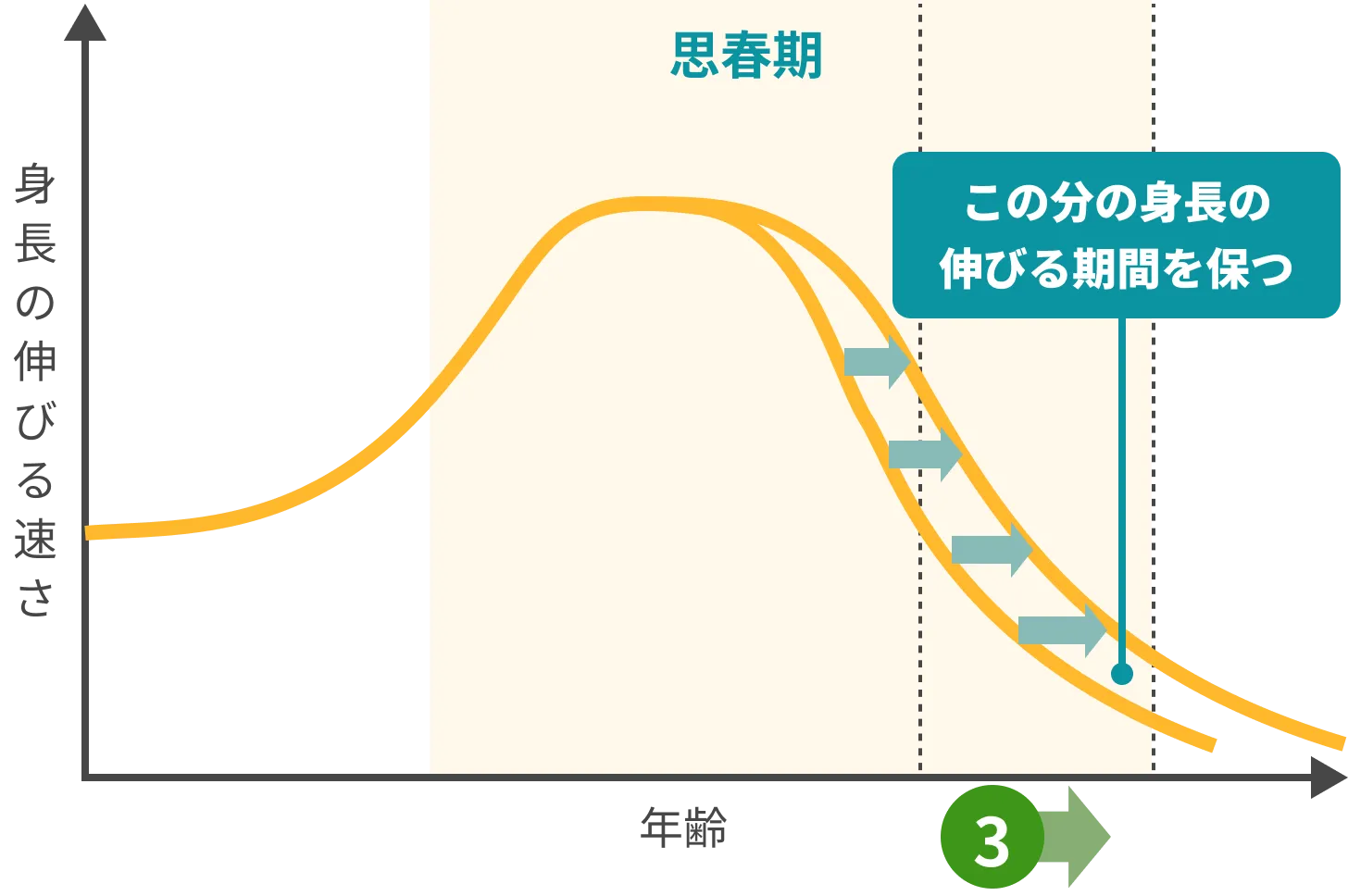身長の伸びる速さと年齢の関係グラフ